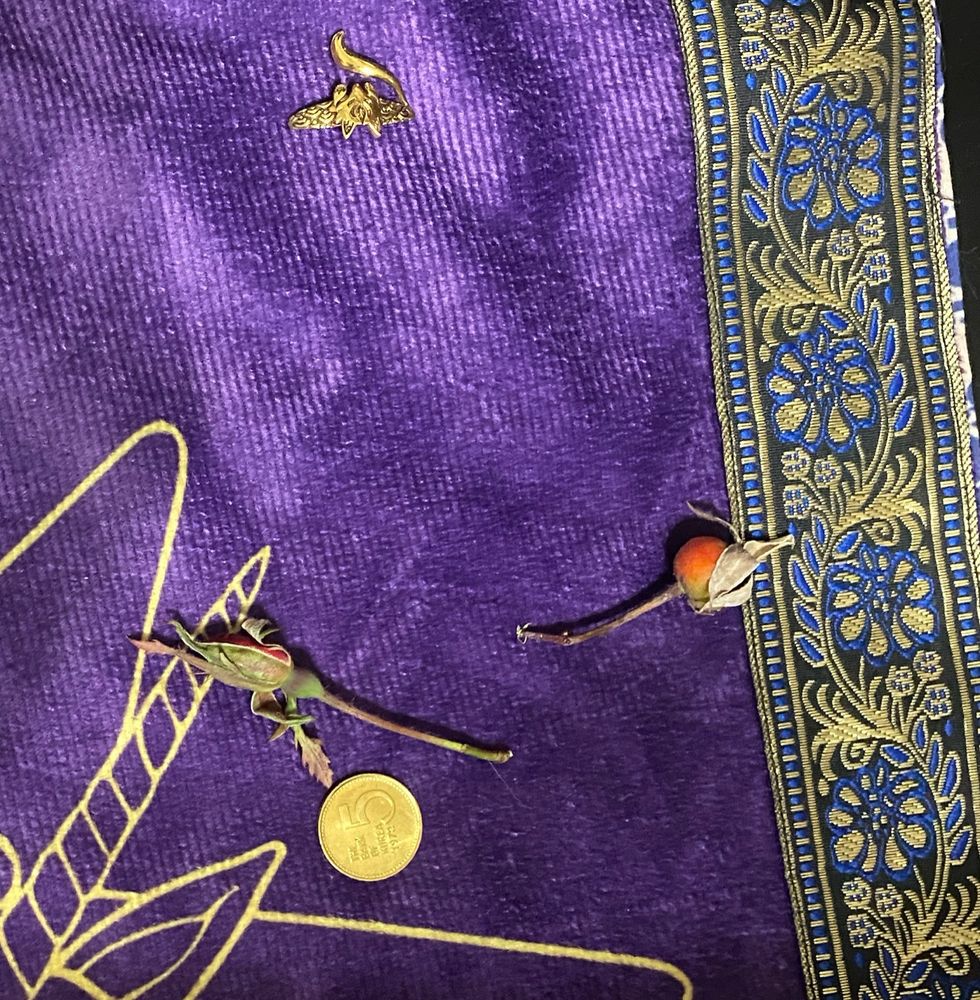 oracle casting with rose hip twig, rosebud twig, kitsune ear cuff, Korean 5-won turtle ship coin